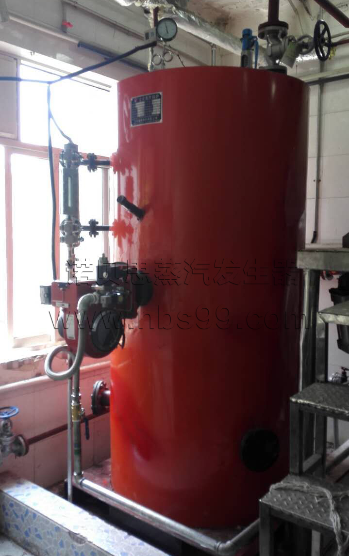 燃气锅炉 燃气锅炉