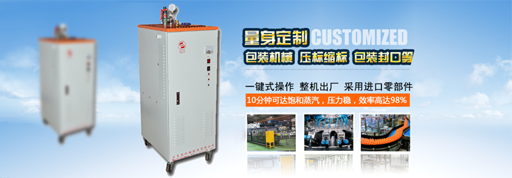 16-32kg/h机械包装小型蒸汽发生器