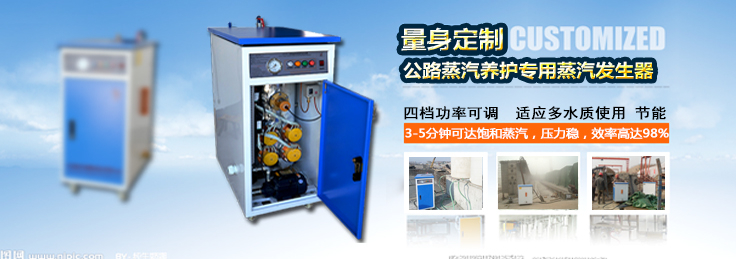 蒸汽发生器 蒸汽发生器