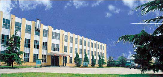 1156042515.jpg 1156042515.jpg