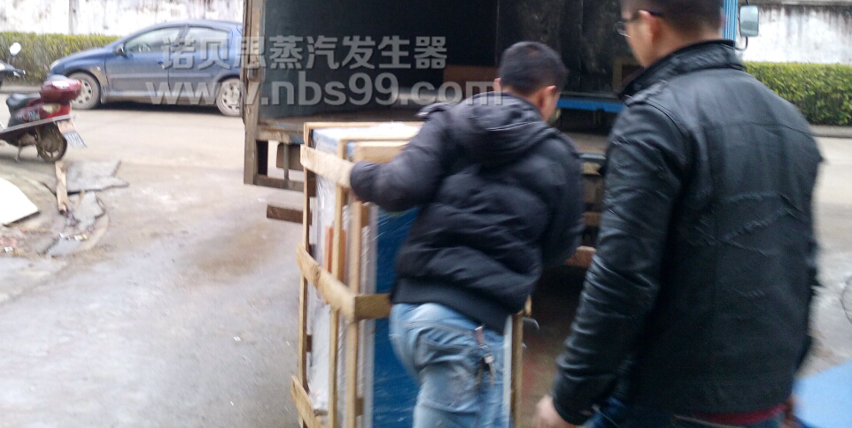 食品加工蒸汽发生器 食品加工蒸汽发生器