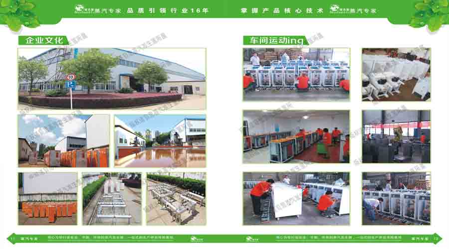 黄瓜成视频人APP蒸汽发生器电子宣传册