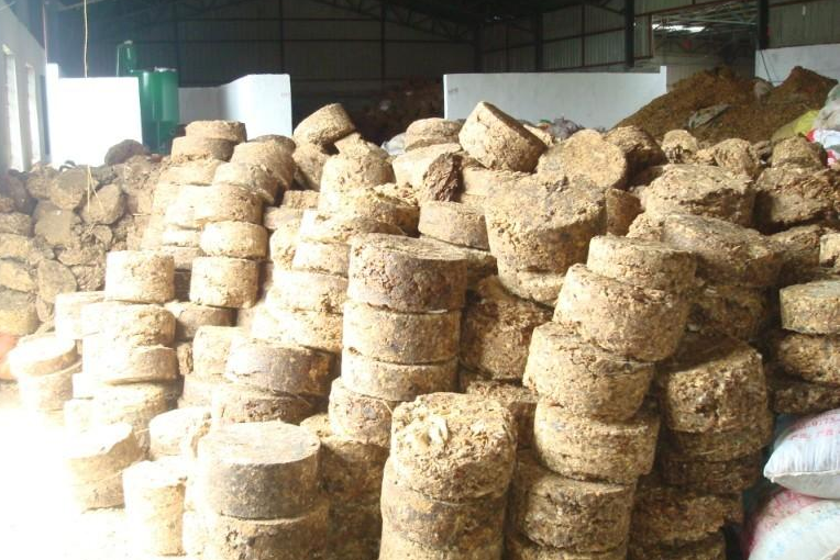 油脂脱臭用黄瓜视频黄色下载