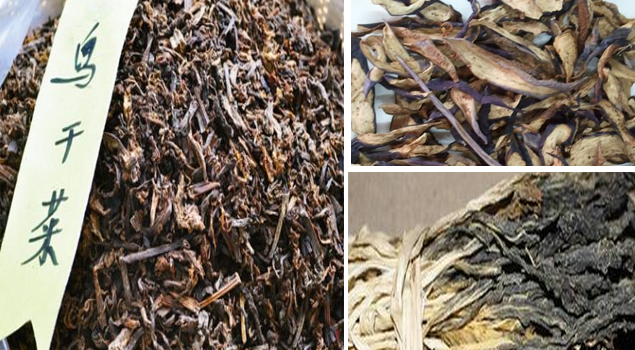 蔬菜烘干用黄瓜视频黄色下载