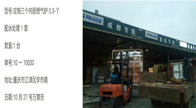 黄瓜成视频人APP定制燃气锅炉0.3-Y