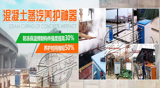 混凝土养护蒸汽发生器 混凝土养护蒸汽发生器