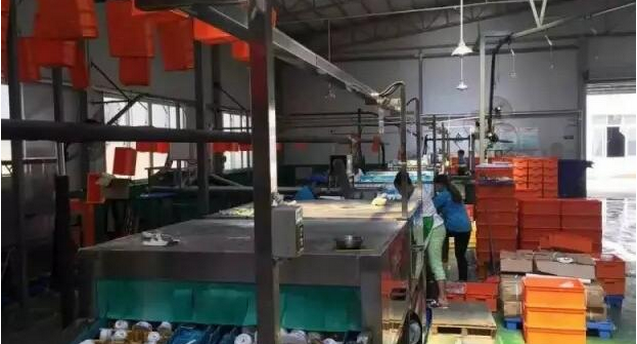 高温消毒黄瓜视频黄色下载