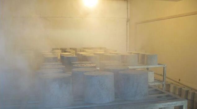 养护室用蒸汽发生器