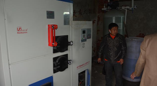 蔬菜大棚蒸汽发生器