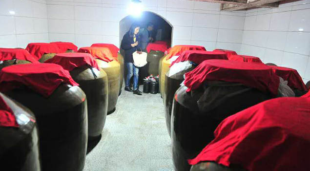 酿酒蒸汽发生器 酿酒蒸汽发生器