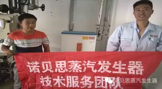 制药专用蒸汽发生器