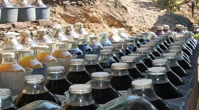 酿葡萄酒蒸汽发生器 酿葡萄酒蒸汽发生器