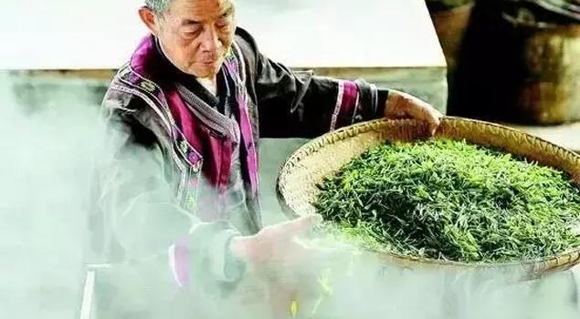 茶叶蒸青 茶叶蒸青