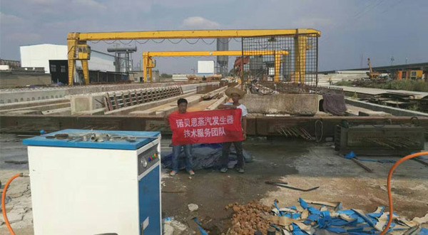 预制梁养护蒸汽发生器 预制梁养护蒸汽发生器