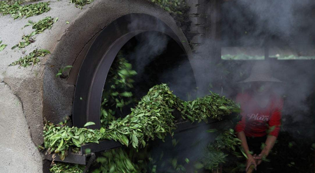 茶叶烘干蒸汽发生器 茶叶烘干蒸汽发生器