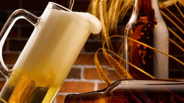 酿酒蒸汽发生器