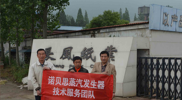 纸箱包装蒸汽发生器 纸箱包装蒸汽发生器