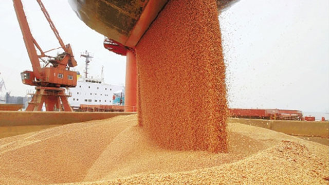 饲料加工专用黄瓜视频免费在线