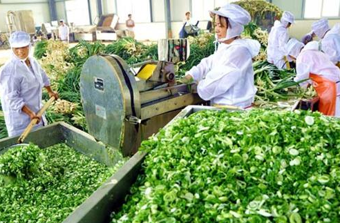 蔬菜脱水干燥蒸汽发生器 蔬菜脱水干燥蒸汽发生器