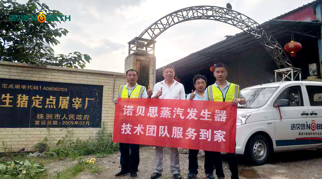 燃油蒸汽发生器 燃油蒸汽发生器