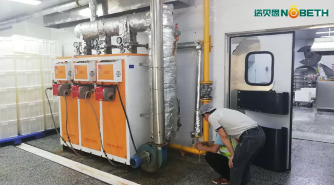 食品加工蒸汽发生器 食品加工蒸汽发生器