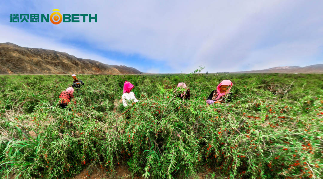 黄瓜视频黄色下载