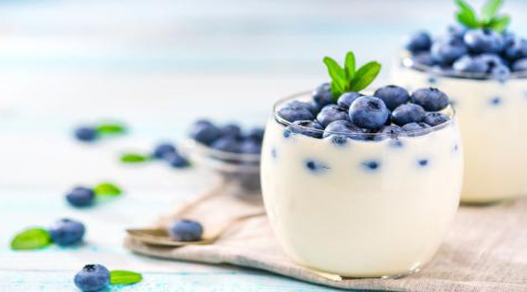 黄瓜视频免费在线