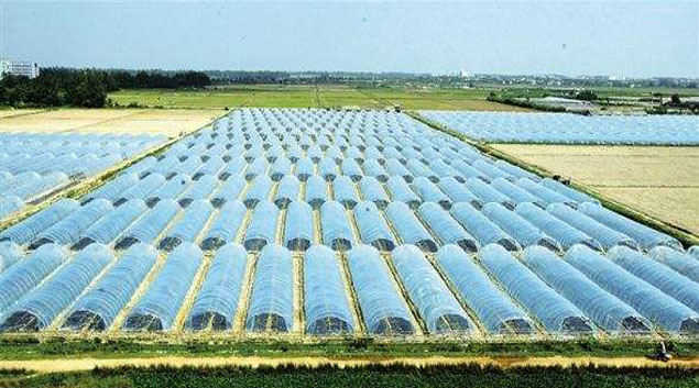 黄瓜视频免费在线 黄瓜视频免费在线