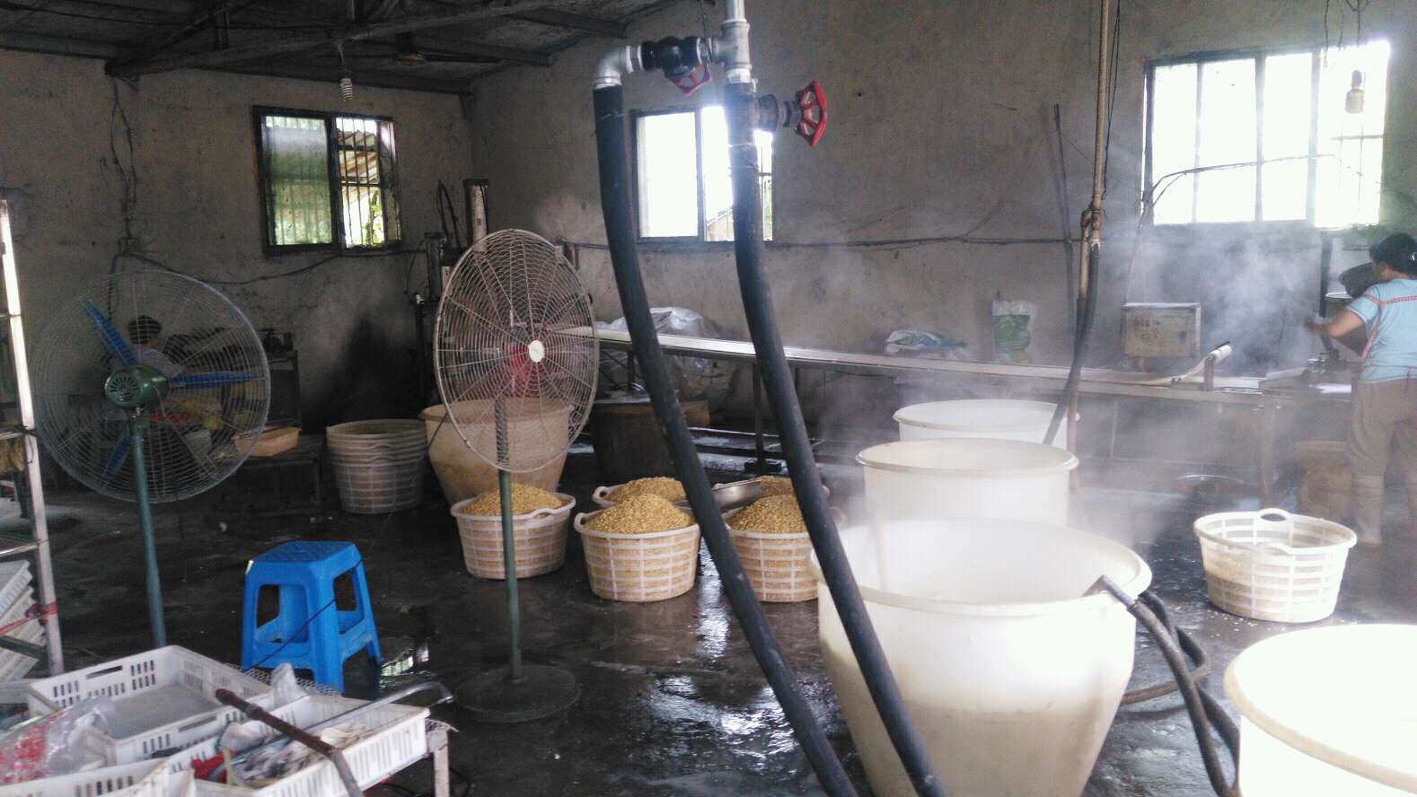 煮豆浆加工厂使用火排效果不好，换上黄瓜视频免费在线热效高，加快企业高效生产