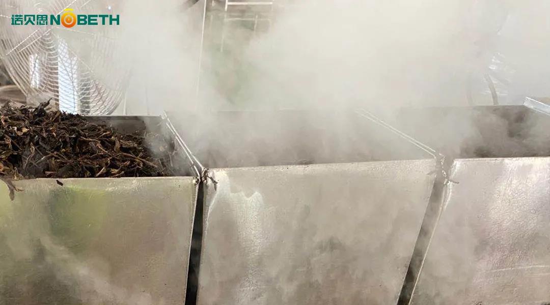 洁净蒸汽烘干茶叶品质更高 洁净蒸汽烘干茶叶品质更高