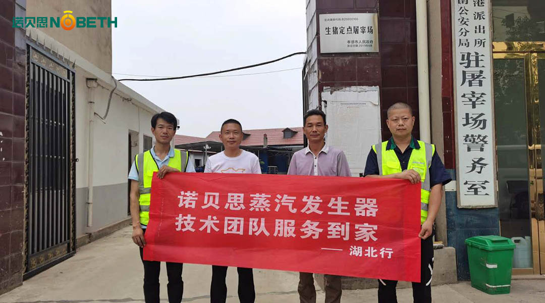 浙江屠宰场脱毛电热蒸汽发生器 浙江屠宰场脱毛电热蒸汽发生器