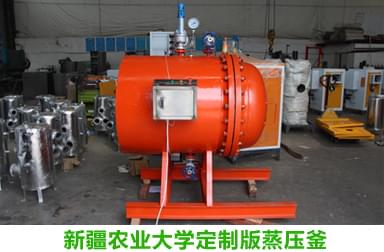 黄瓜成视频人APP蒸汽专家完成新疆农业大学定制蒸压釜