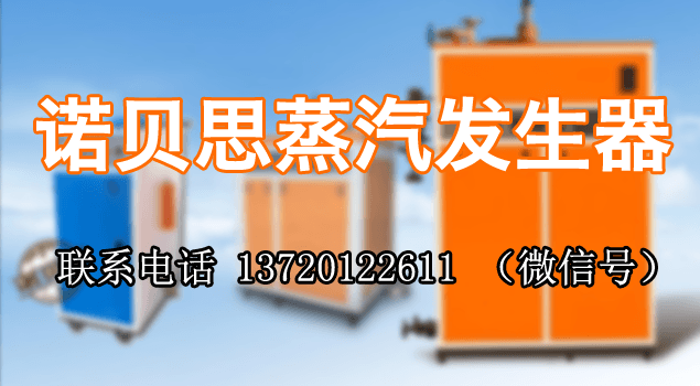 武钢集团购黄瓜成视频人APP蒸汽发生器用于食堂蒸饭保温
