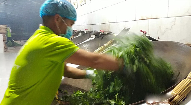 电气化制茶成主流，蒸汽发生器让制茶无烟化，实现零排放的环保目标