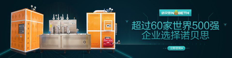 黄瓜成视频人APP蒸汽发生器